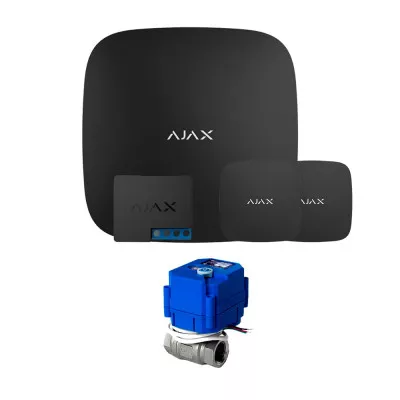 SMARTSYSTEMS Hub2 HC(КТ2) Light 1/2" Black