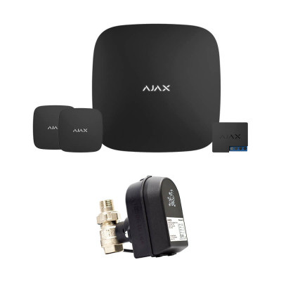 Ajax Hub 2 + LeaksProtect (2од) + WallSwitch + Кран з електроприводом Honeywell 220 One ДУ32 (HAV32)