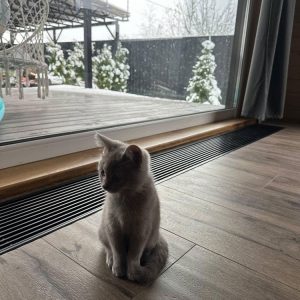 Решітка з рамкою S 230/1000 (рамка ZN + поперечна решітка)