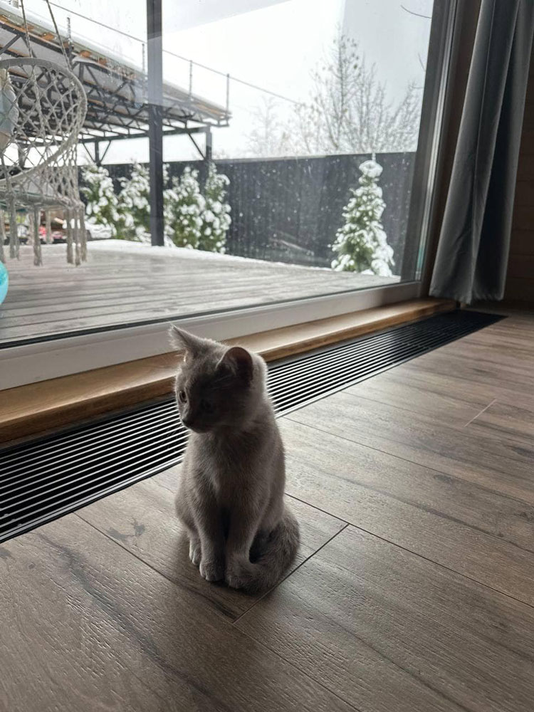 Решітка з рамкою S 230/1000 (рамка ZN + поперечна решітка)