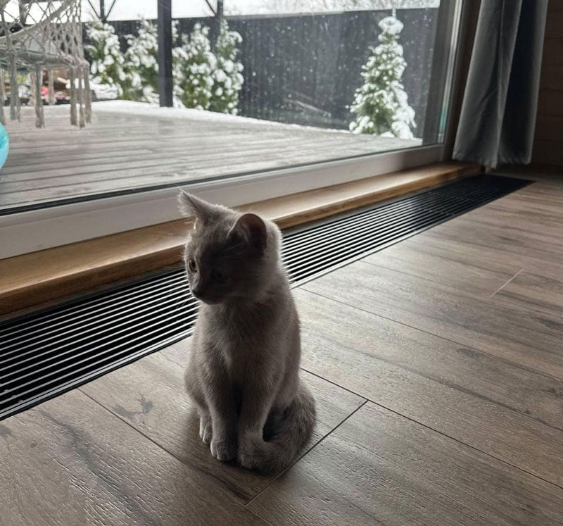 Решітка з рамкою S 250/1000 (рамка ZN + поперечна решітка)