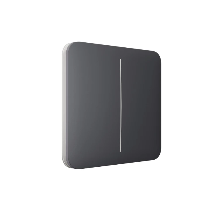 Кнопка для двоклавішного вимикача Ajax SoloButton (2-gang) Graphite