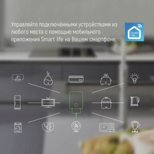 Розетка розумна з Wi-Fi ColorWay CW-SP1A-PTM одинарна з моніторингом енергії